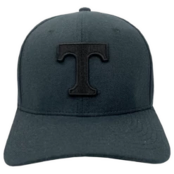 Dark Swoosh Flex Power T Classic99 Hat By Nike