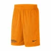 Nike Dri-Fit Athletic Shorts