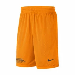 Nike Dri-Fit Athletic Shorts
