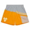 Mitchell & Ness Tennessee Nylon Shorts